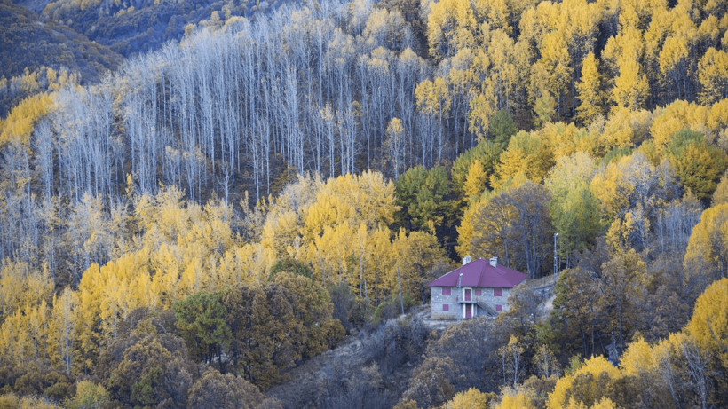 Tunceli'nin gizli cenneti: Salördek Ormanları - Resim: 10