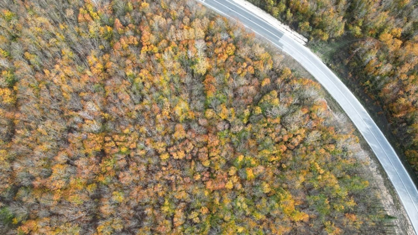 Tekirdağ'da ormanlar sonbahar renklerine büründü - Resim: 7