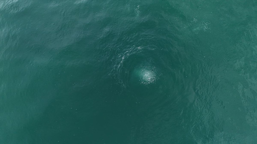 Sapanca Gölü neden kaynıyor? Uzmanlar bölgeye akın etti - Resim: 1
