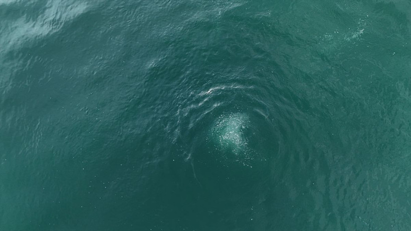 Sapanca Gölü neden kaynıyor? Uzmanlar bölgeye akın etti - Resim: 3