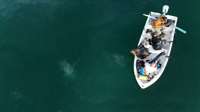 Sapanca Gölü neden kaynıyor? Uzmanlar bölgeye akın etti - Resim: 7