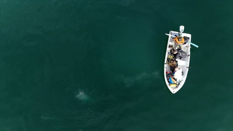 Sapanca Gölü neden kaynıyor? Uzmanlar bölgeye akın etti - Resim: 10