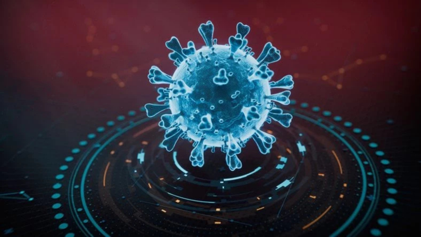 H5N5 paniği: Dünyada ilk kez can aldı! - Resim: 4