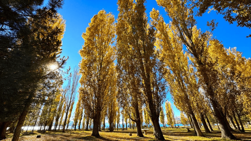 Hazar Gölü'nün çevresi sonbahar renklerine büründü - Resim: 6