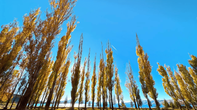 Hazar Gölü'nün çevresi sonbahar renklerine büründü - Resim: 3