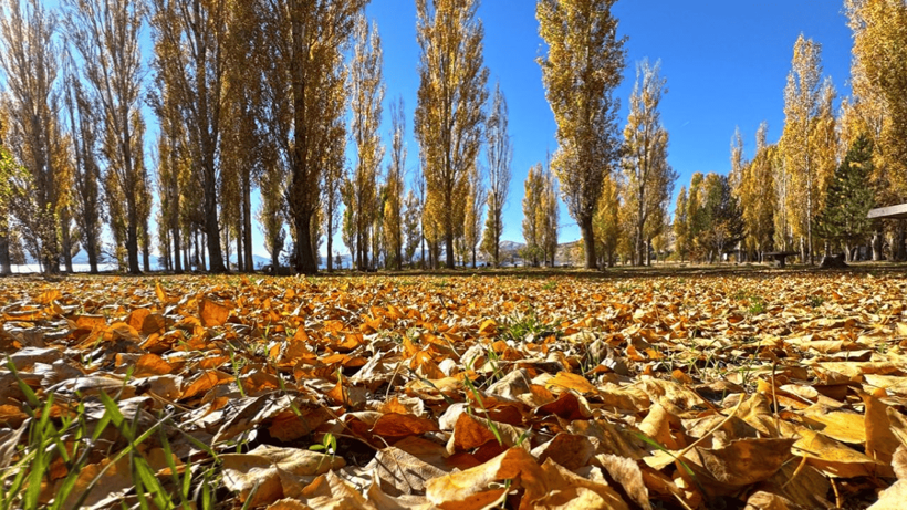 Hazar Gölü'nün çevresi sonbahar renklerine büründü - Resim: 4