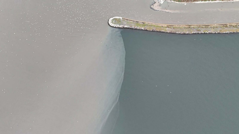 İzmir'de etkili olan sağanak hayatı felç etti: Dereler taştı, denizin rengi değişti, evleri su bastı - Resim: 14