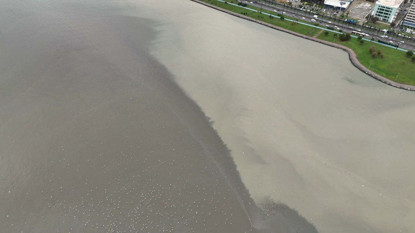 İzmir'de etkili olan sağanak hayatı felç etti: Dereler taştı, denizin rengi değişti, evleri su bastı - Resim: 9