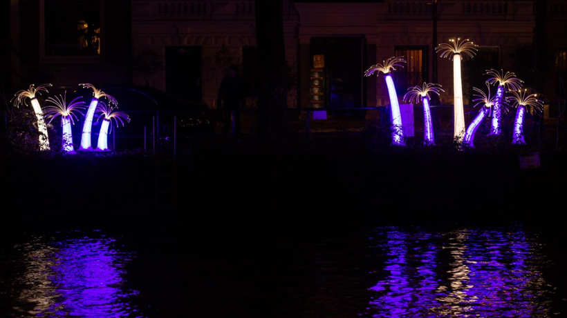 Hollanda'da 'Amsterdam Işık Festivali' başladı - Resim: 5