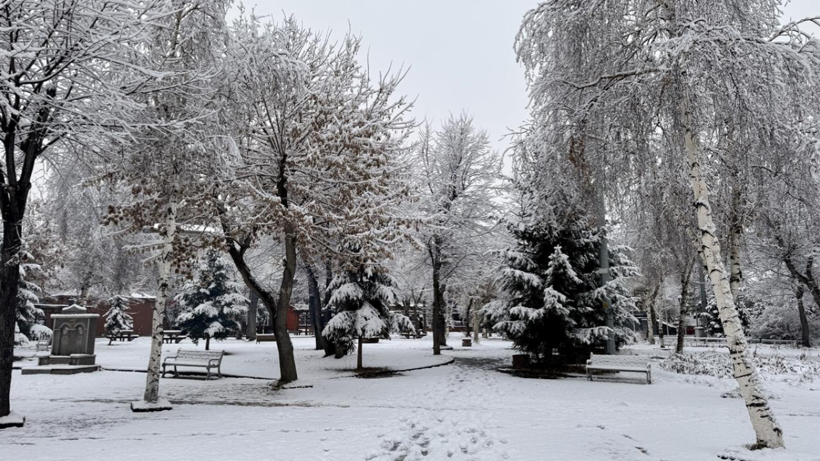 Erzurum, Kars, Ardahan, Ağrı ve Tunceli'de kar yağışı etkili oldu - Resim: 12