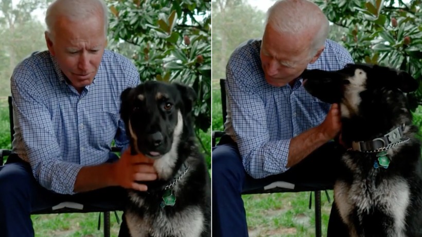 Beyaz Saray'da Biden'ın köpekleri krizi! - Resim: 3