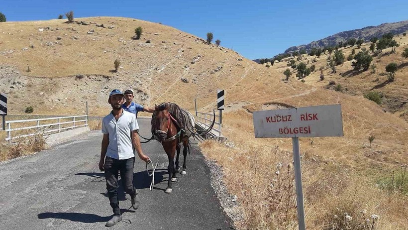 Adıyaman'da 'kuduz at' paniği: Çobanpınar köyü 6 ay karantinaya alındı - Resim : 1