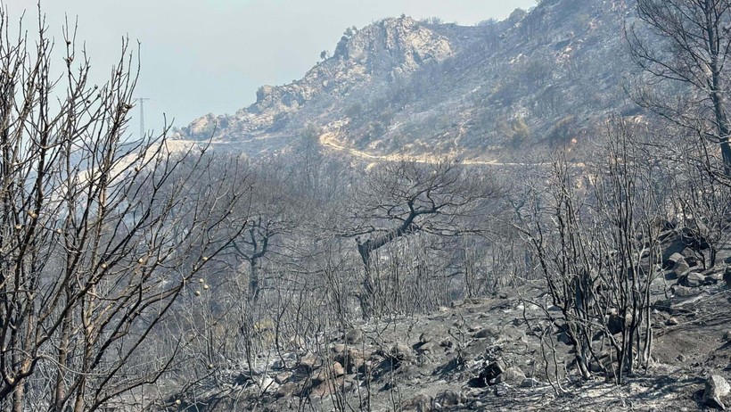 İzmir'de define ararken yangın çıkaran 5 kişi tutuklandı - Resim : 2