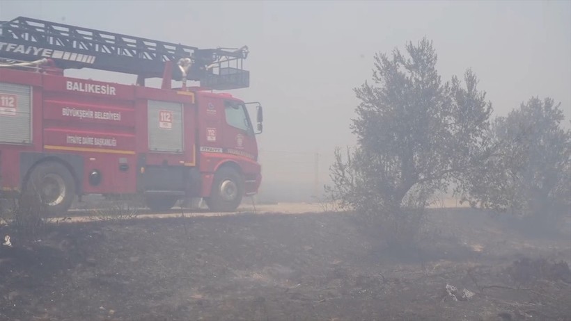 Balıkesir'de çıkan orman yangını zeytinliklere sıçradı - Resim : 3