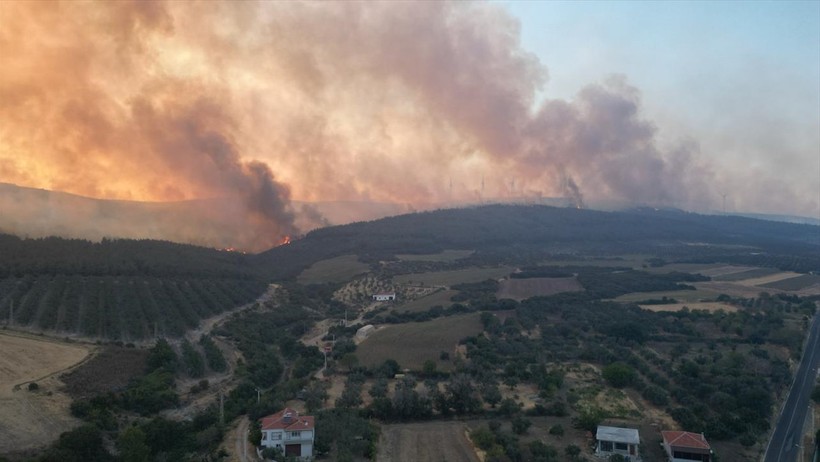 Tekirdağ Şarköy'de orman yangını - Resim : 6