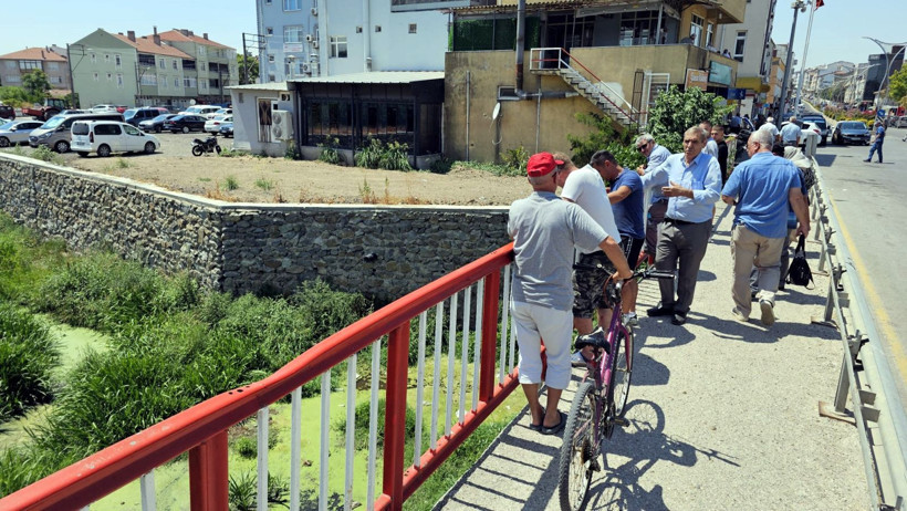 Edirne'ye gelen su maymunları ilgi görüyor - Resim: 6