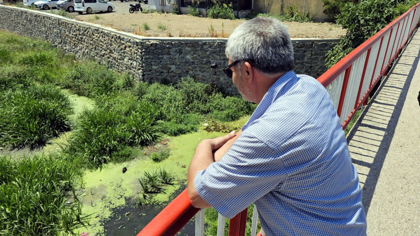 Edirne'ye gelen su maymunları ilgi görüyor - Resim: 7