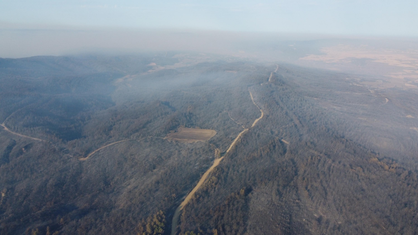 Çanakkale’deki orman yangınında zarar gören alanlar dron ile görüntülendi - Resim : 1