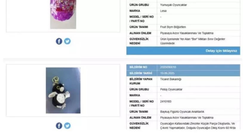Bu iki oyuncağın satışı yasaklandı! Piyasadan toplatılıyor - Resim : 1
