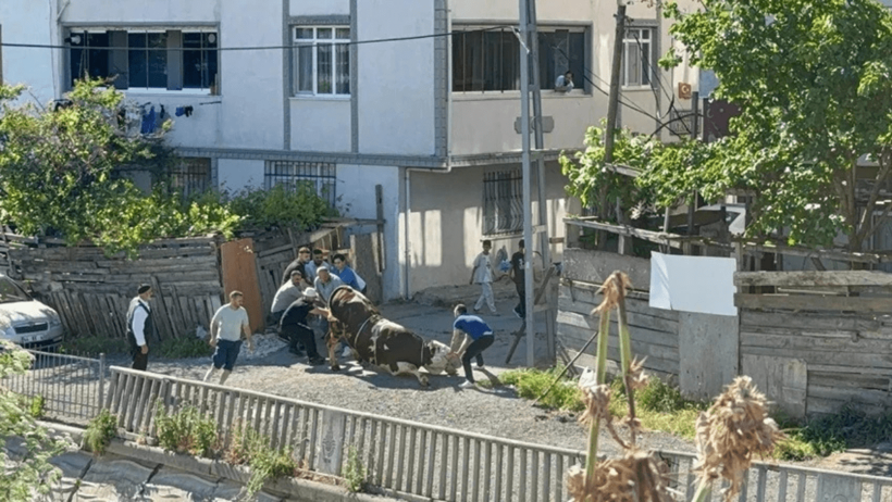 Zabıta ekiplerinden sıkı denetim: Kaçak kesime ceza yağdı! - Resim : 1