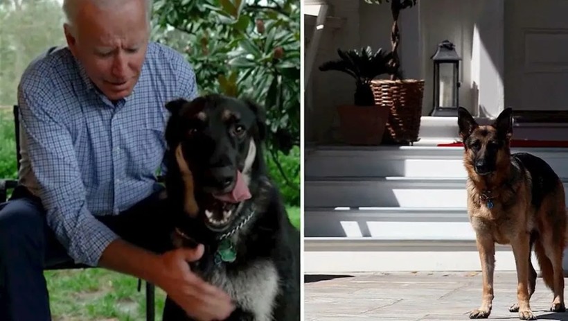 Beyaz Saray'da Biden'ın köpekleri krizi! - Resim: 5