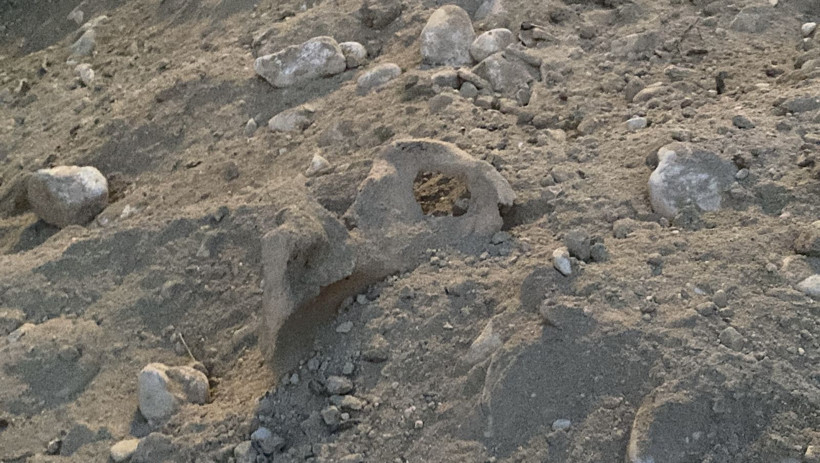 Burdur'da belediyenin kazı çalışması sırasında insan kemikleri bulundu - Resim: 1