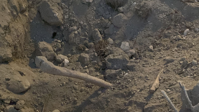 Burdur'da belediyenin kazı çalışması sırasında insan kemikleri bulundu - Resim: 2