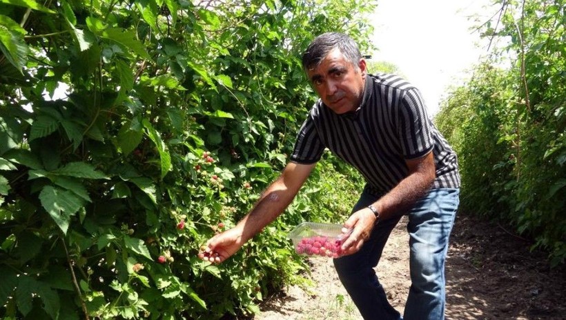 Kansere şekere deva! Hobi diye başladı, kilosunu 80 TL'den satıyor - Resim: 5