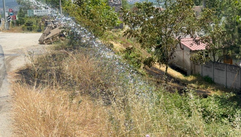 Yol kenarına atılan şişe anız yangını çıkarttı - Resim: 6