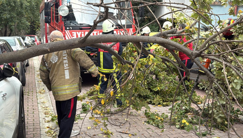 İstanbul'da lodos etkili oldu! Beşiktaş ve Şişli’de ağaçlar ve elektrik direği araçların üstüne devrildi - Resim: 11