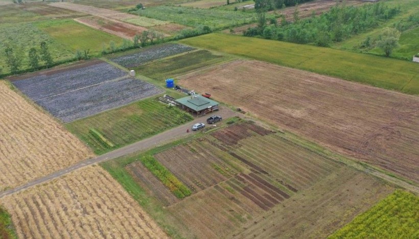 Topraktan çıkan altında hasat başladı! Kilosu 2 bin lirayı buluyor! Üretici sayısı 7'den 150'ye çıktı - Resim: 4