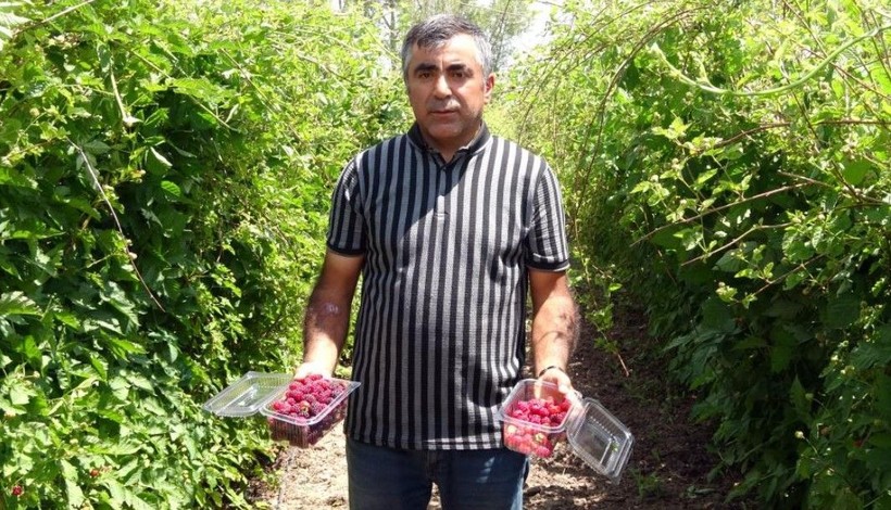 Kansere şekere deva! Hobi diye başladı, kilosunu 80 TL'den satıyor - Resim: 9