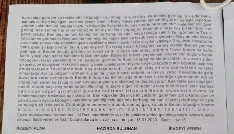 Muğla'da vahşet! Gezdirmeye çıkardığı köpeği silahla vurularak öldürüldü - Resim: 4