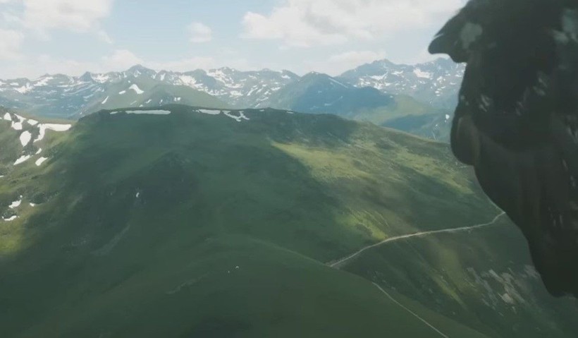 Doğan kuşunun drone avı! Daha önce böylesi görülmedi - Resim: 8