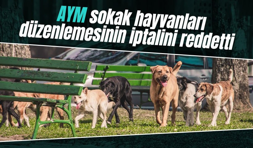 AYM sokak hayvanları düzenlemesinin iptalini reddetti