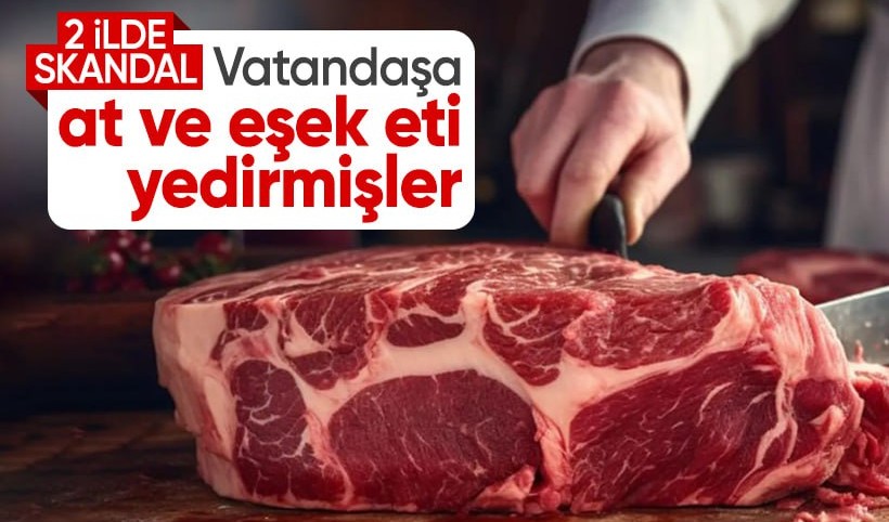 Bazı firmaların Adana ve Gaziantep'te vatandaşa at ve eşek eti yedirdiği ortaya çıktı