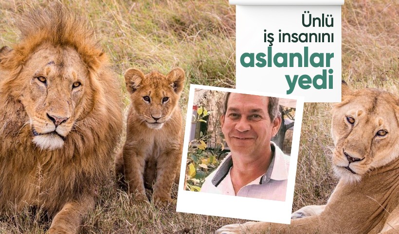 Ünlü iş insanını safari sırasında aslanlar yedi