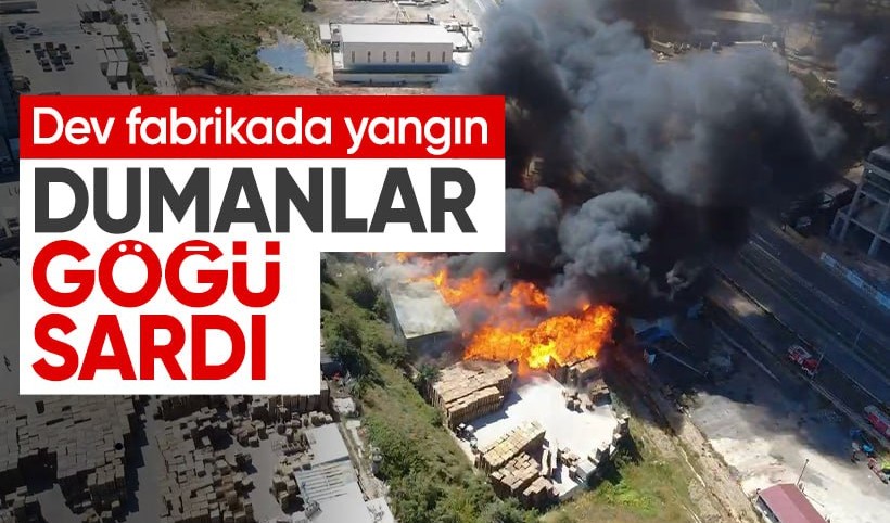 Kocaeli’de palet fabrikasında yangın! Dumanlar gökyüzünü kapladı