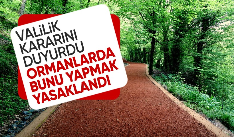 İstanbul’da ormanlara giriş ve ateş yakmak 15 Ekim’e kadar yasaklandı