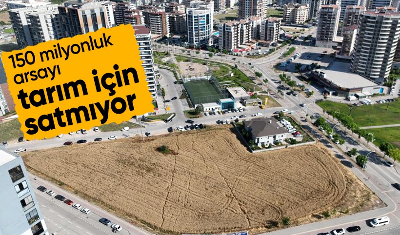 Bursa'da 150 milyon lira değerindeki arsasını satmayan çiftçi 3 ton buğday yetiştirip 39 bin lira kazanıyor