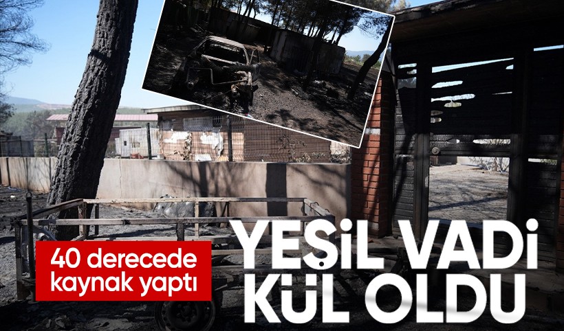 Bornova'da kıvılcım faciası: Yeşil vadi kül oldu