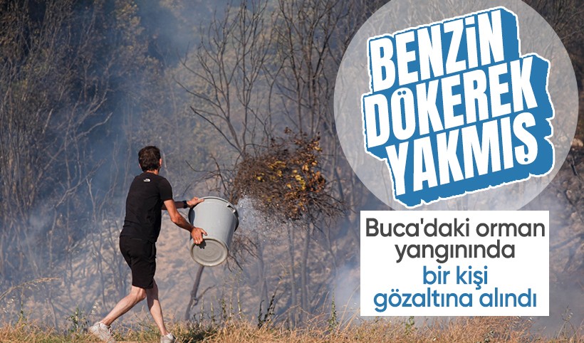 İzmir Buca'daki orman yangınına ilişkin soruşturmada 1 kişi gözaltına alındı