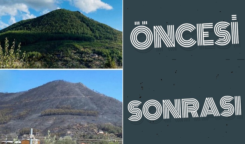 İzmir Seferihisar'da orman yangınlarının öncesi ve sonrası