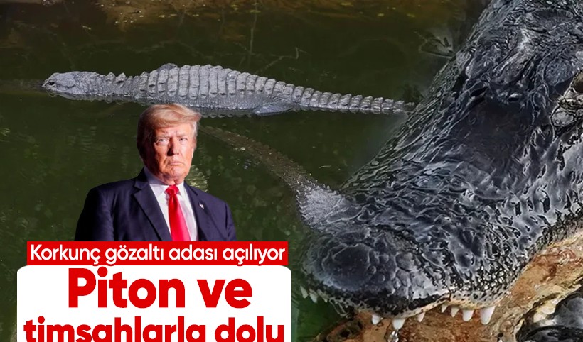 Trump'ın korkunç gözaltı adası açılıyor! Piton ve timsahlarla dolu