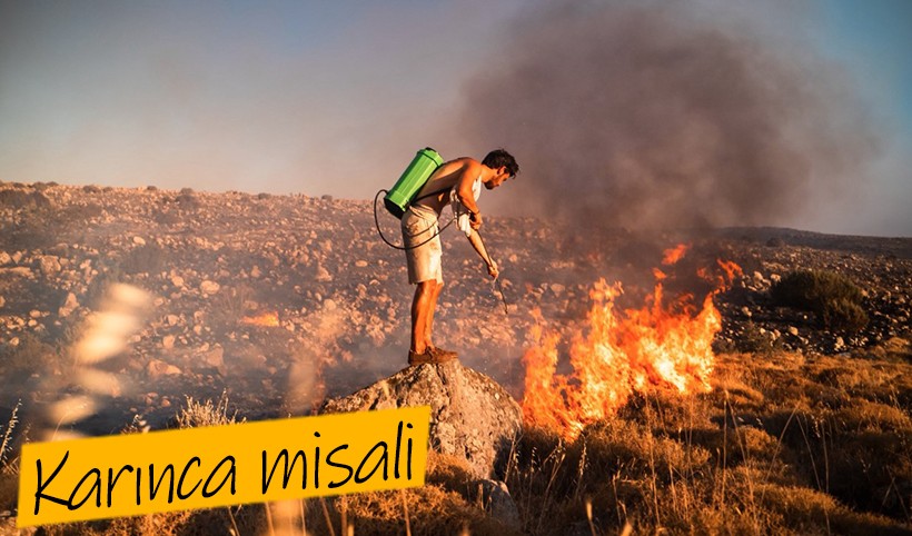 Karınca misali | İzmir Çeşme'de alevlere ilaçlama makinesiyle müdahale eden genç