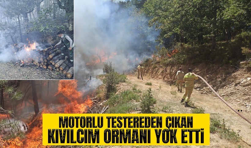 Bursa'daki orman yangının sebebi motorlu testere çıktı: 1 tutuklama