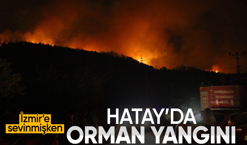 Hatay Dörtyol'da orman yangını
