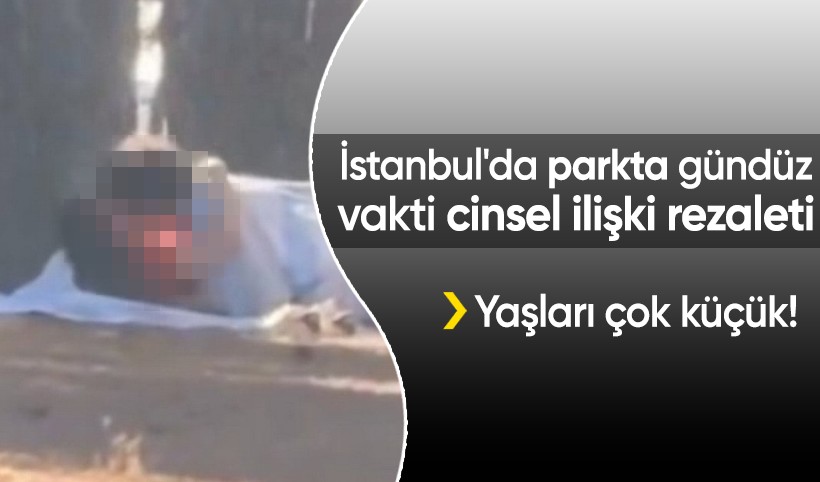 İstanbul'da parkta gündüz vakti cinsel ilişki rezaleti