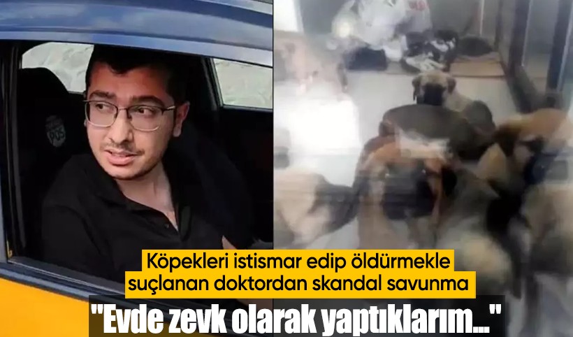 Köpekleri tecavüz edip öldürmekle suçlanan doktor: Evde zevk olarak yaptıklarım kimseyi ilgilendirmez
