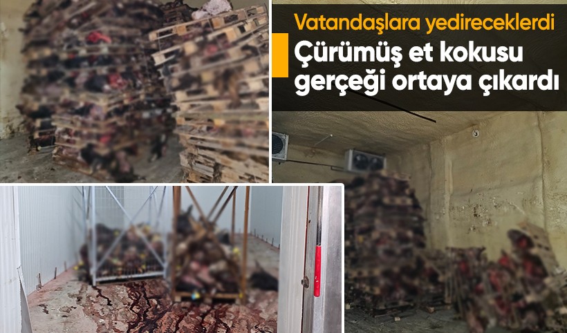 Sakatatçılara satılmak üzere istiflenmiş çürümüş büyükbaş hayvan kafaları bulundu
